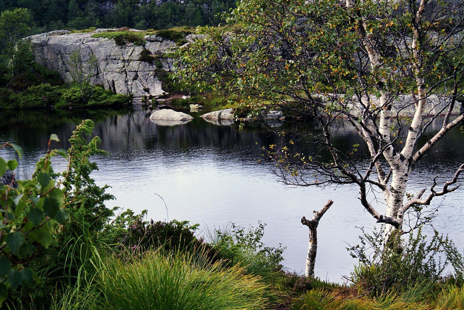 Parterapi - Gentagne skænderier